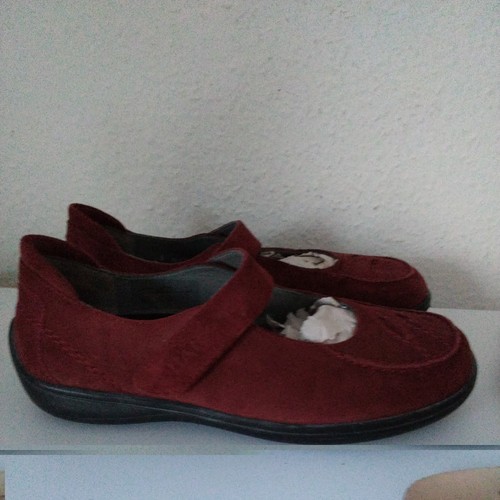Bear moccasins ballerina